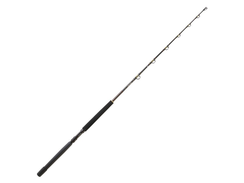 Canne Daiwa Sealine X Traîne