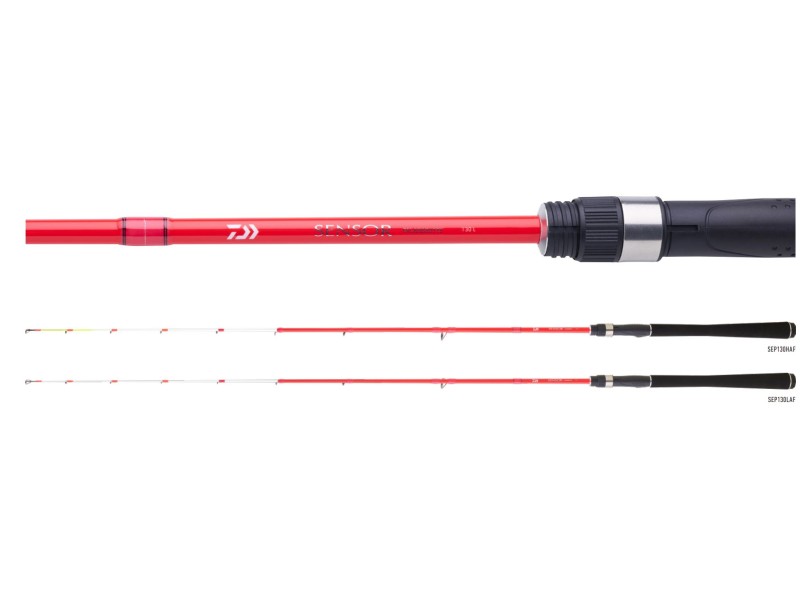 Canne Daiwa Sensor Palangrotte