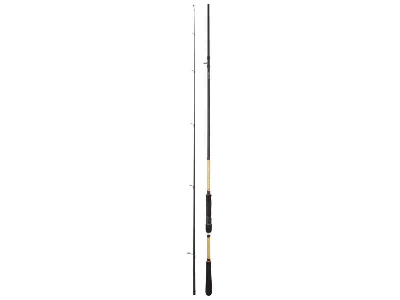 Canne Daiwa Sensor Squid