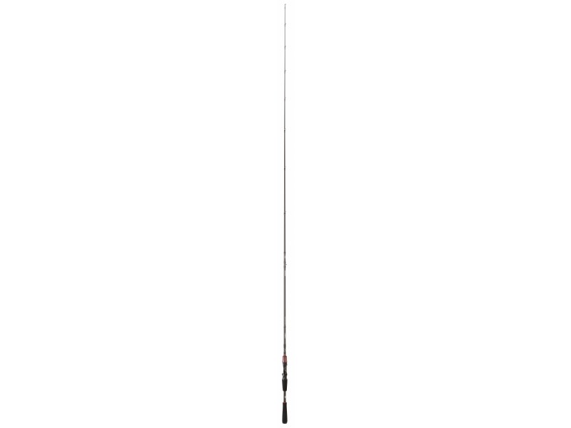 Canne Daiwa Steez AGS Casting