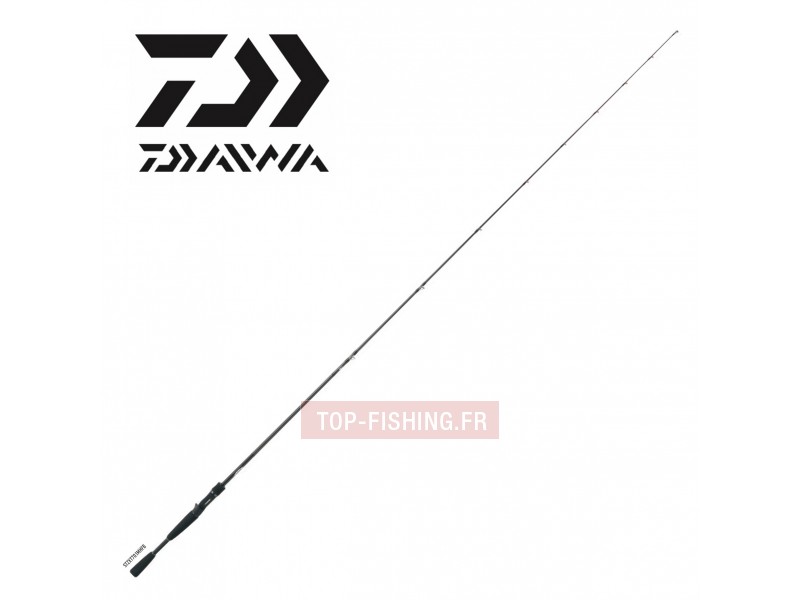 canne-daiwa-steez-xt.jpg