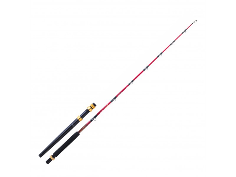 canne-daiwa-tanacom-deep-monster.jpg