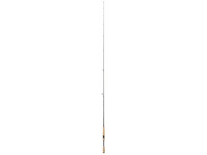 Canne Daiwa Tatula Spinning