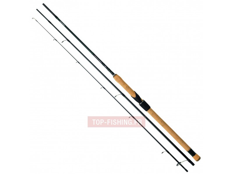 canne-daiwa-team-daiwa-vairon-manie.jpg