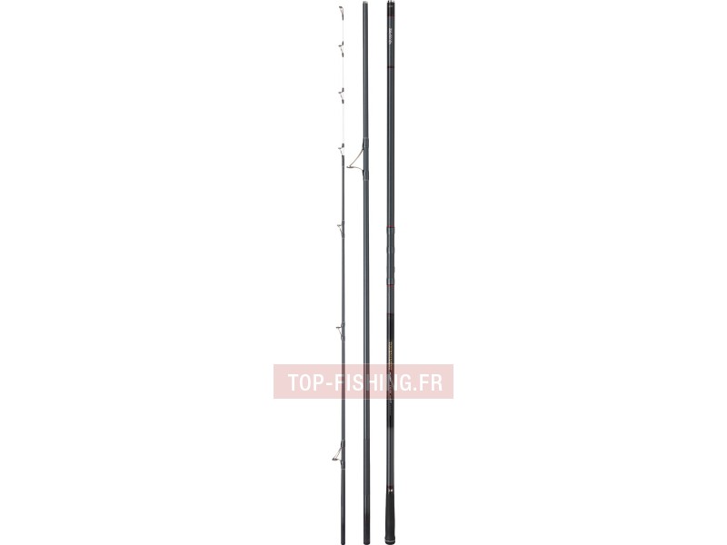 canne-daiwa-tournament-surf-z-425hae.jpg