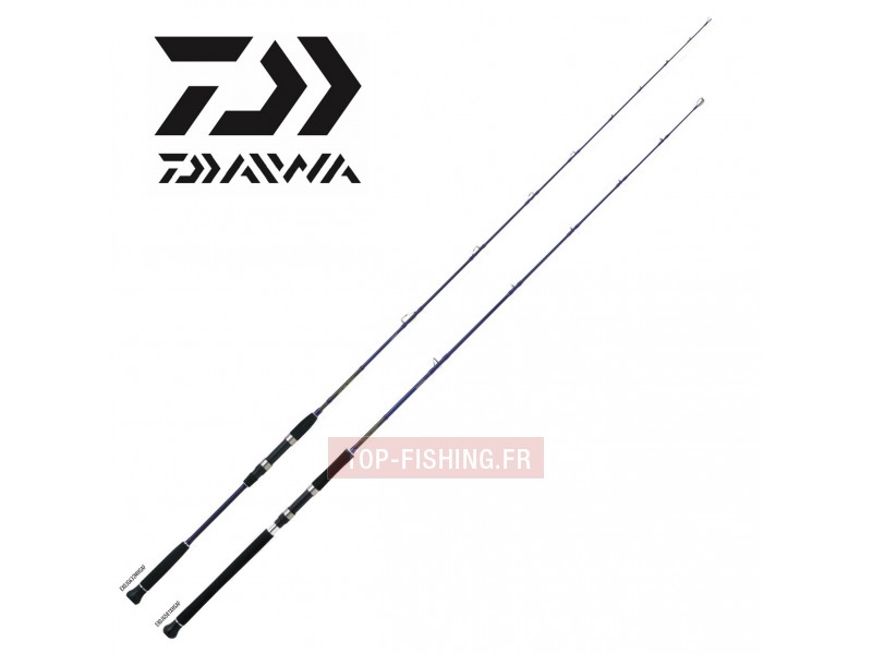 canne-jigging-daiwa-exceller-oceano.jpg