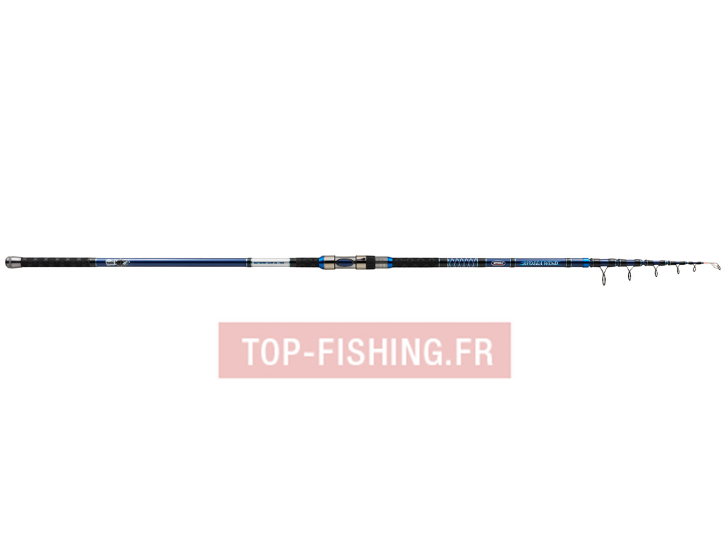 canne-mitchell-avosea-wind-surfcasting-tele.jpg