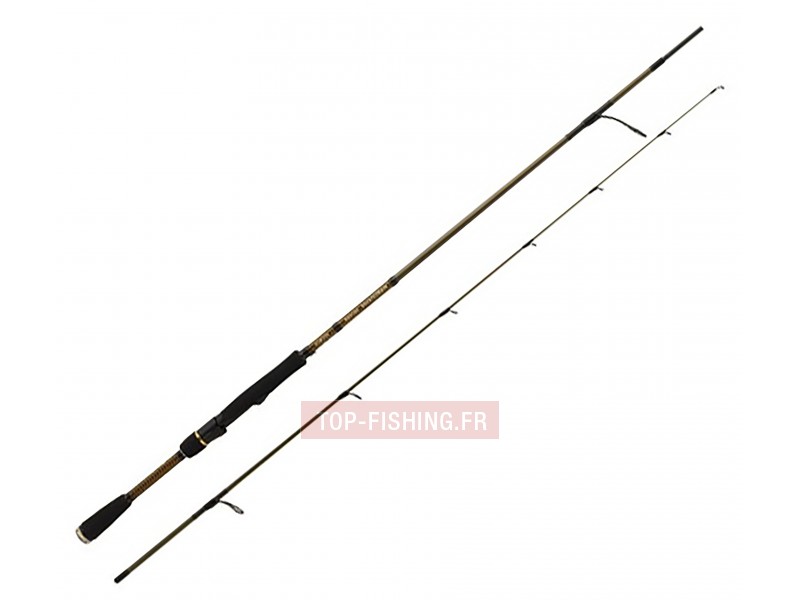 Canne Daiwa Morethan Branzino AGS