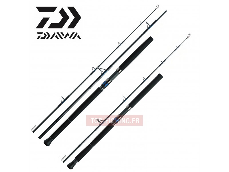 canne-multibrin-daiwa-saltiga-air-portable.jpg