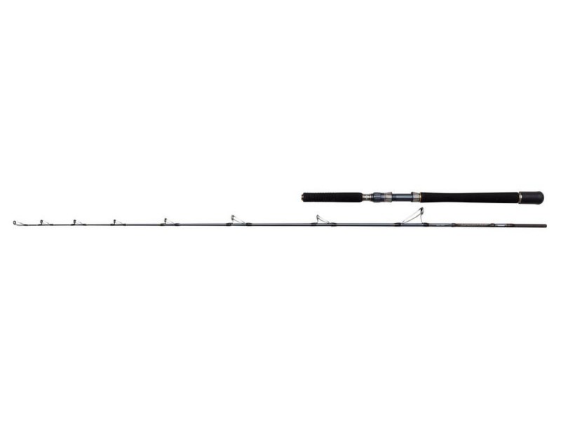 Canne Penn Battalion Solid Bait Boat Rod