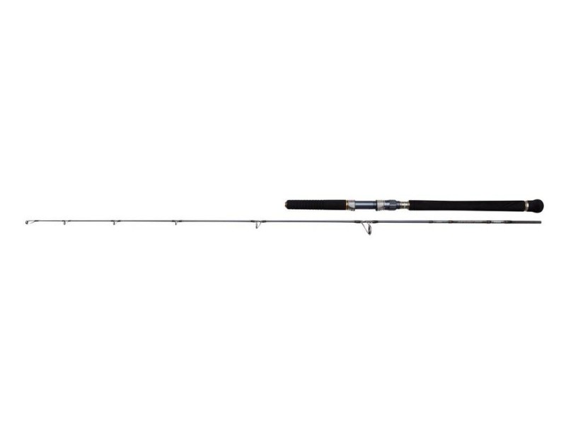 Canne Penn Battalion Solid Jigging Spinning Rod