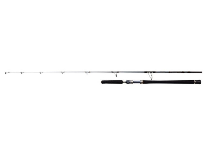 Canne Penn Battalion Solid Offshore Casting Rod