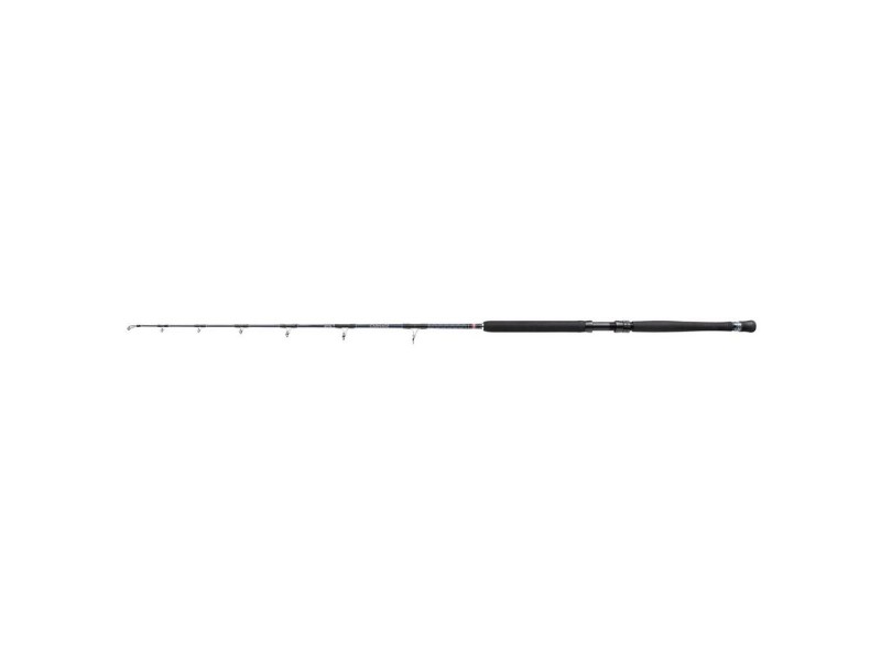 Canne Penn Carnage Monster Bluefin