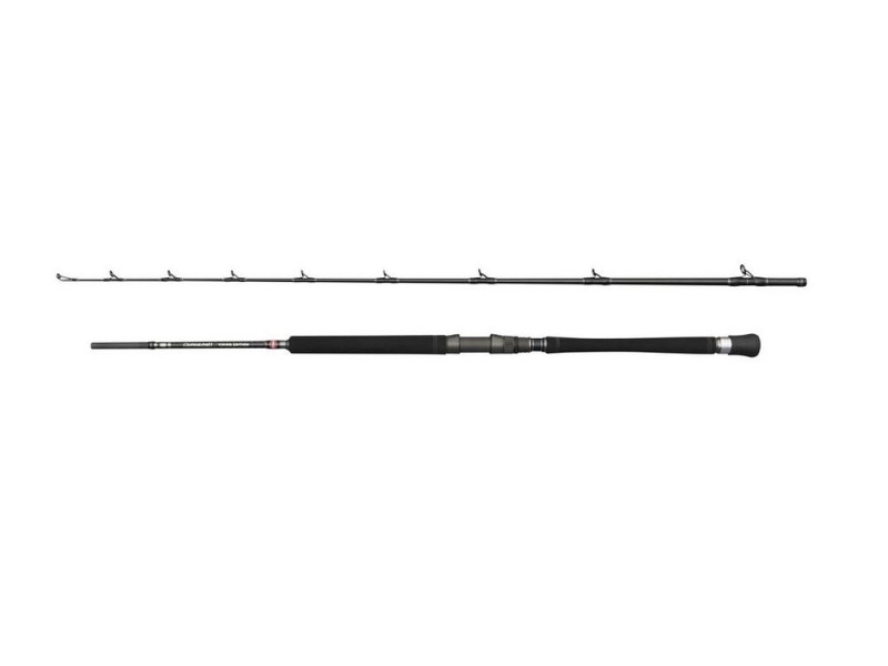 Canne Penn Carnage Viking Edition Boat Rod