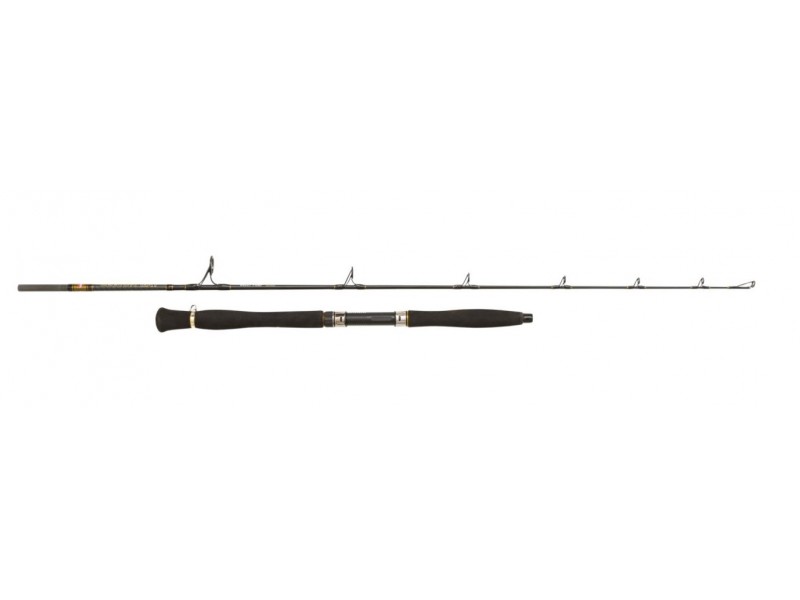Canne Penn Legion Cat Gold Belly Pump