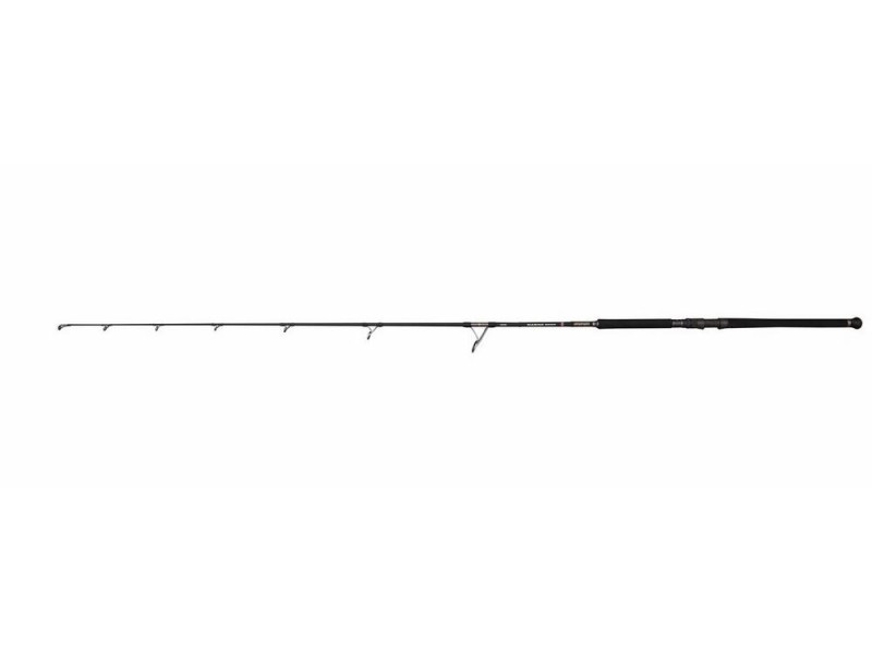 Canne Penn Marine Brigade Popping Spin Rod
