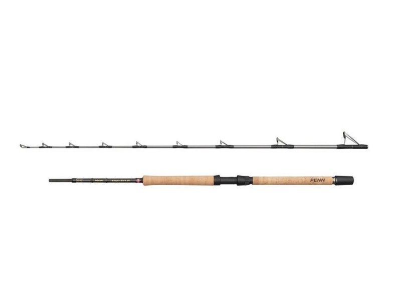 Canne Penn Regiment IV Pro Boat Rod