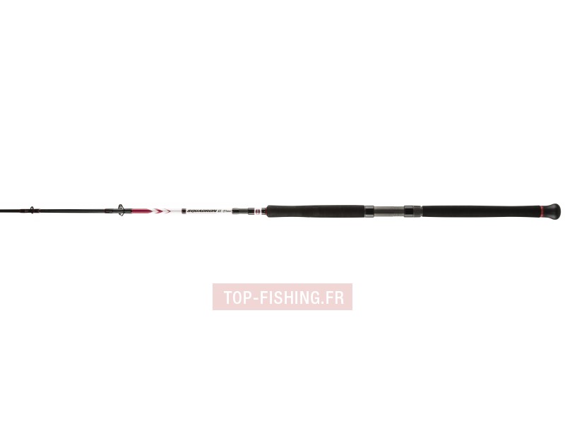 Canne Penn Squadron II Vertical CF