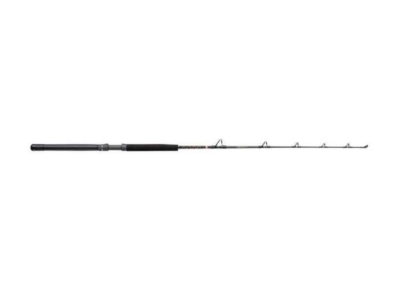 Canne Penn Squall II Trolling Rod