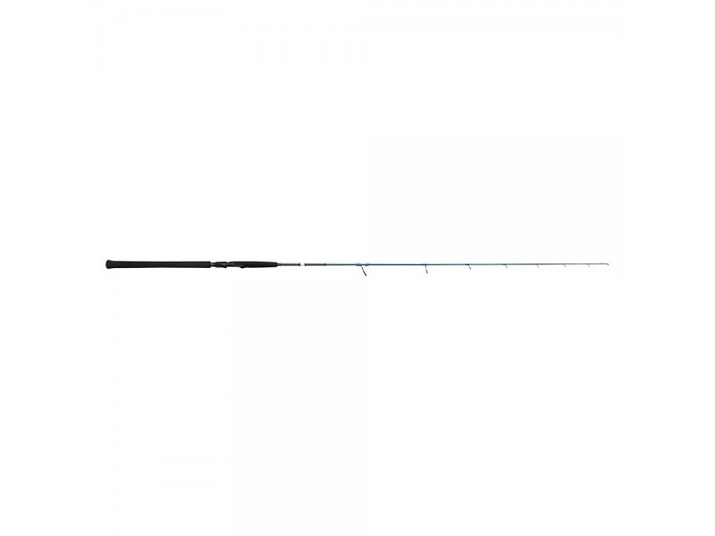 Canne Savage Gear SGS2 Jigging