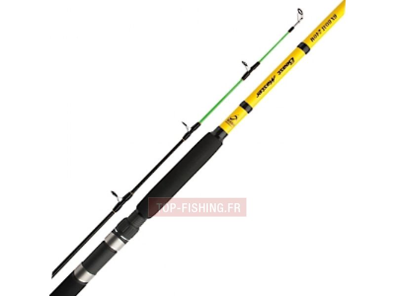canne-shimano-beastmaster-bx-boat.jpg