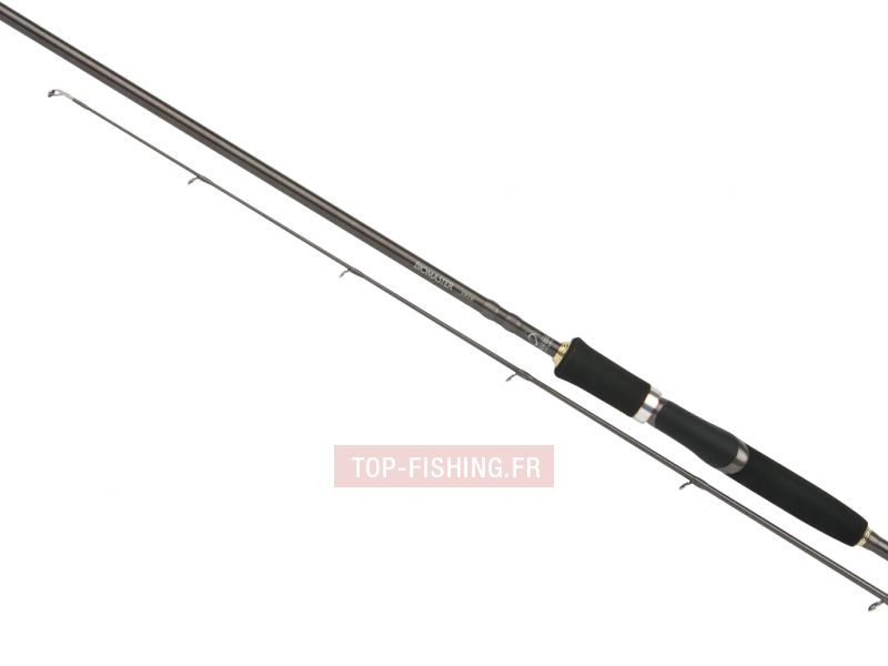 canne-shimano-biomaster-spin.jpg