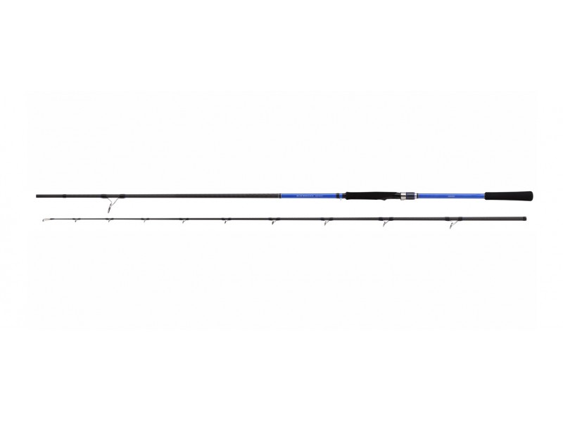 Canne Shimano Blue Romance AX Shore Jigging