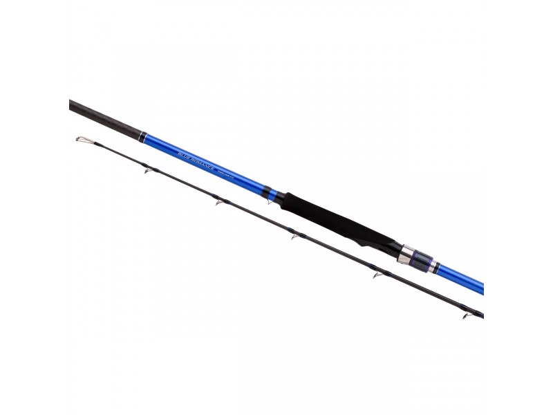 Canne Shimano Blue Romance AX Jerkbait