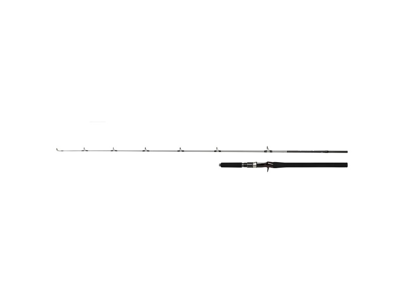 Canne Shimano Speedmaster R Jigging Cast