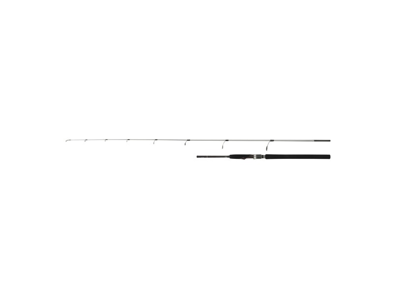 Canne Shimano Speedmaster R Jigging Spin