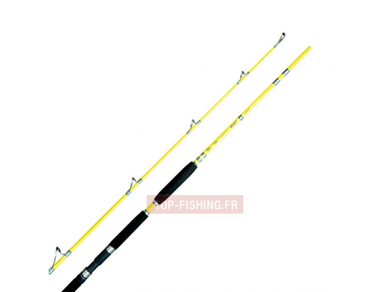 canne-shimano-terez-silurus.jpg