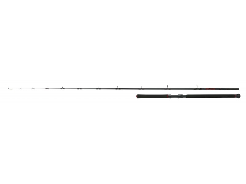 Canne Shimano Vengeance AX Boat Slim