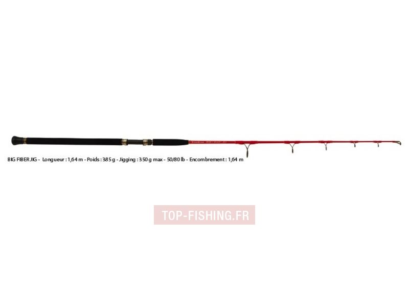 Canne Tenryu Big Fiber Jig