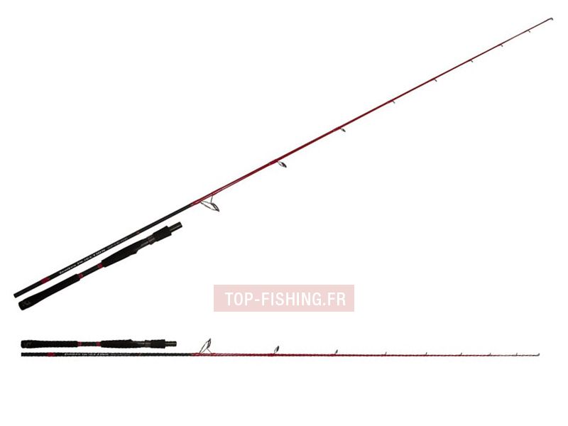 Canne Tenryu Injection SP 73 M