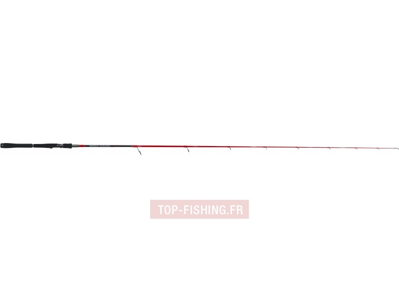 canne-tenryu-red-volution-technically.jpg