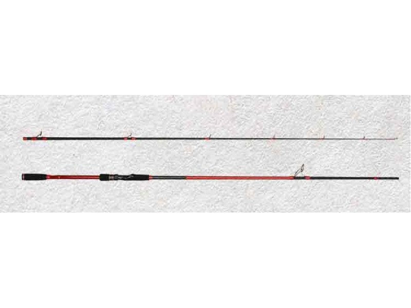 Canne Top Sea Aggress Sea Bass Rod Type