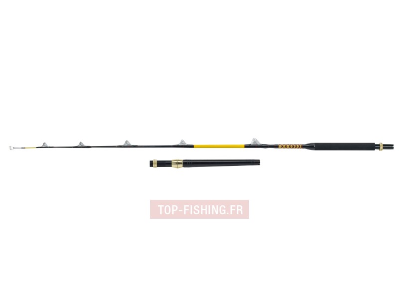Vue 5) Canne WFT NC Stand Up 30-50lbs 1m85