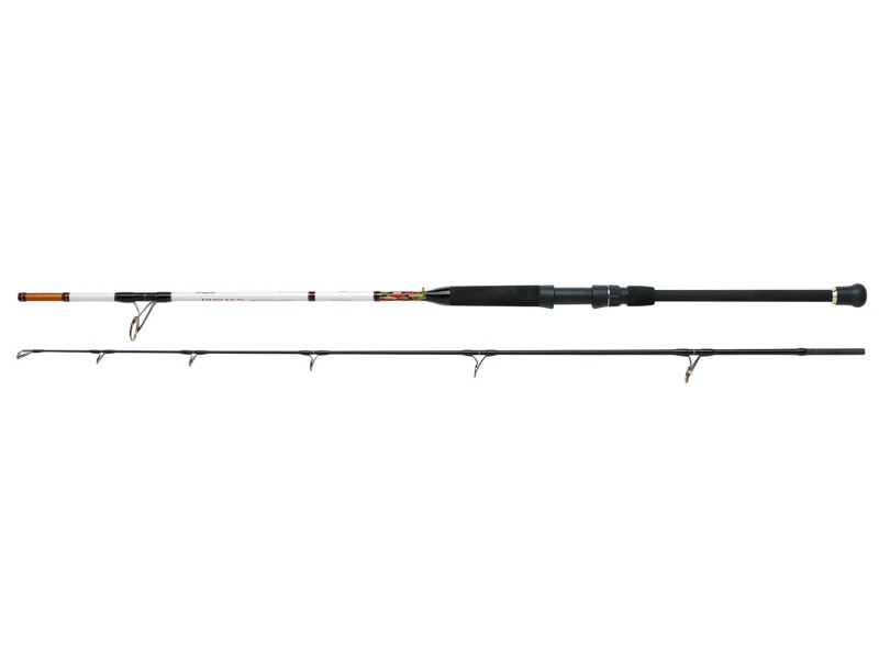 Canne WFT Ocean Buster