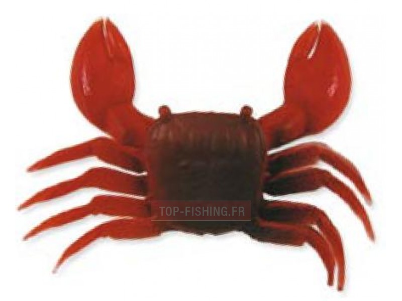 crabe-plastique.jpg