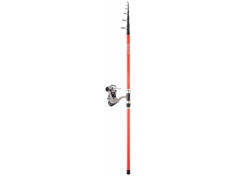 Ensemble Daiwa Set Tele Surf X5