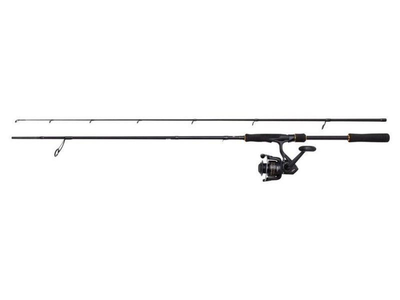 Ensemble Penn Wrath II Labrax Spinning Combo