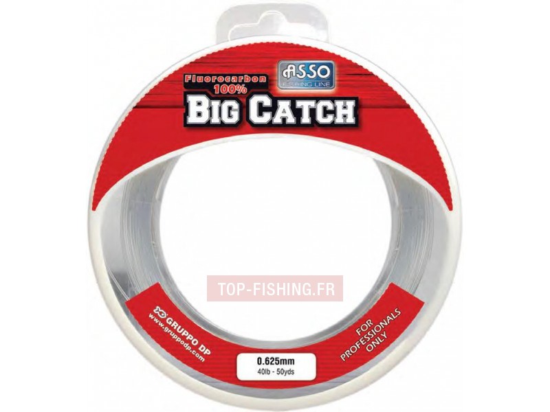 Fil Fluorocarbone ASSO Big Catch - 45m