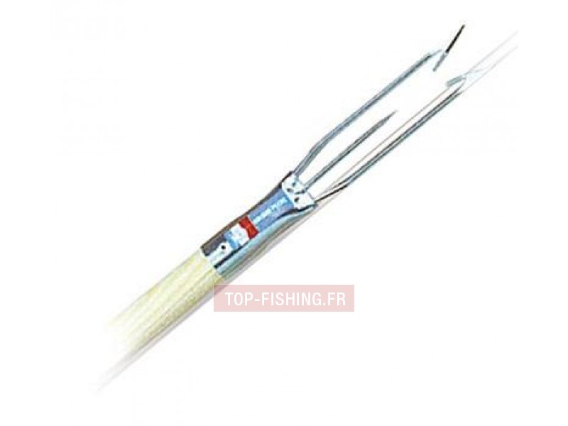 fou-ne-o-congre-seanox-2-dents.jpg
