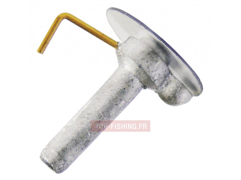 godille-cannelle-simple-patte.jpg