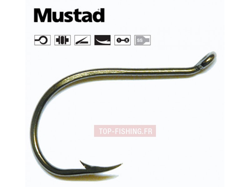 hame-ons-mustad-bec-de-perroquet-a-oeillet-92553s-ss.jpg