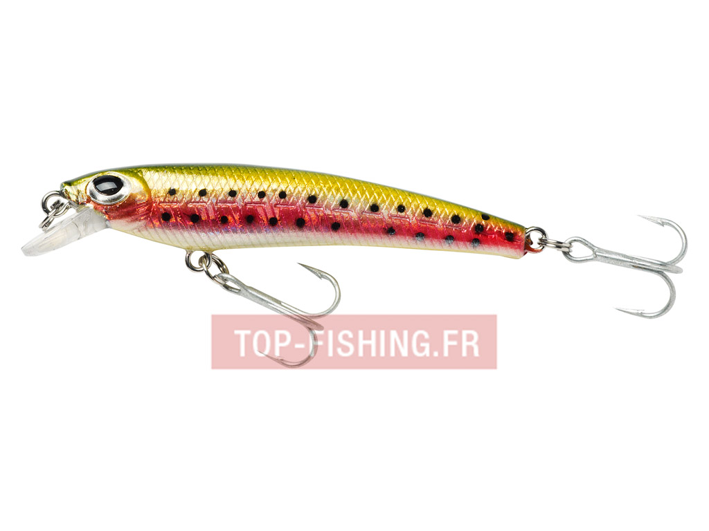 leurre-abu-garcia-rocket-mini-minnow-rainbow.jpg