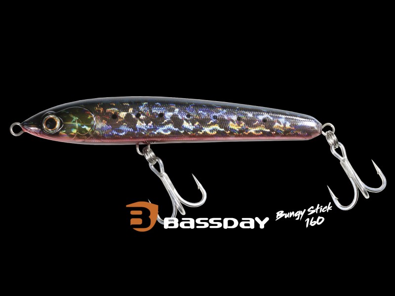Leurre Bassday Bungy Pencil 160mm