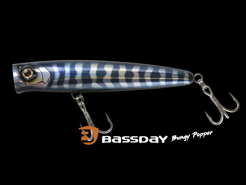 Leurre Bassday Bungy Popper 160mm