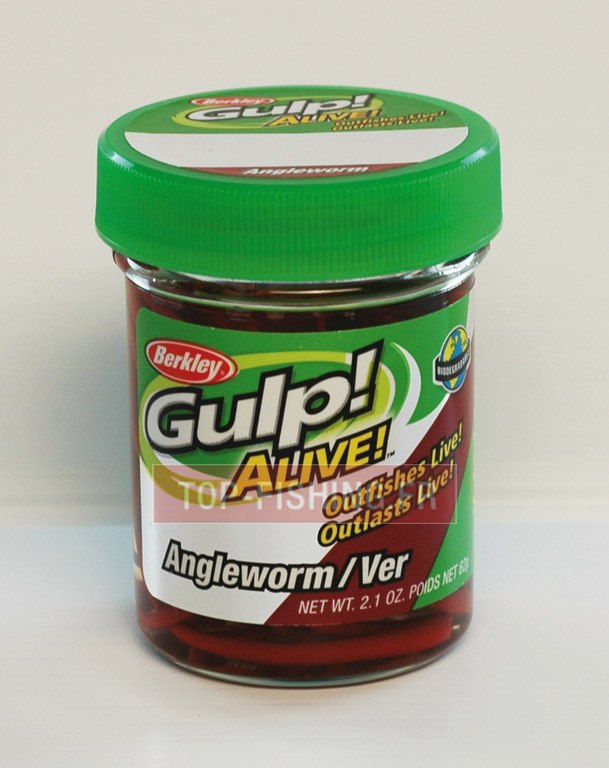 Leurre Berkley Gulp! Alive Angle Worm - 5 cm