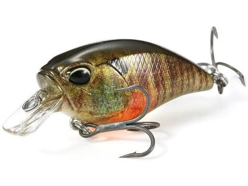 Leurre Duo Realis Crank Mid Roller 40 F